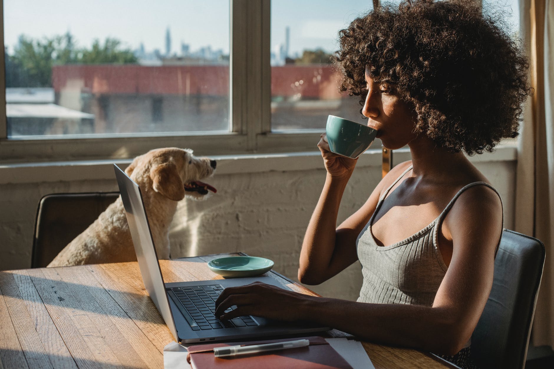 black female freelancer using laptop and drinking coffee near dog